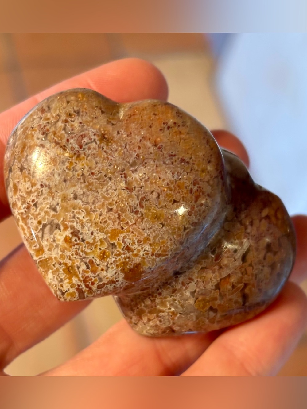 Ocean Jasper Double Heart – Polished Twin Crystal Hearts from Madagascar